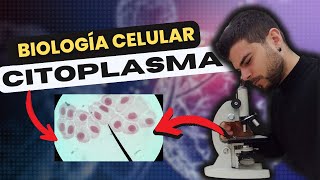 BIOLOGÍA CELULAR el CITOPLASMA [upl. by Ahsinet36]