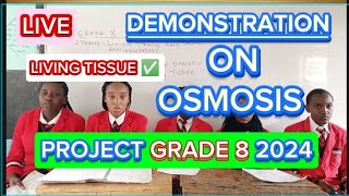 How To Demonstrate Osmosis In Living TissuesScience Grade 8 Project 2024 [upl. by Ennayehc312]