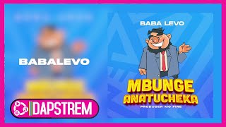 Baba Levo  Mbunge Anatucheka Official Audio [upl. by Andris]