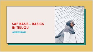 SAP BASIS  BASICS IN TELUGU [upl. by Alegnad]