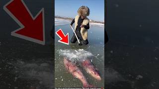 ये आदमी मछली की बर्फ से जान बचाता है  ice fish  shortsvideo [upl. by Elsy8]