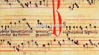 Gregorian chant  Deum verum [upl. by Sitra410]