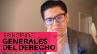 Principios Generales del Derecho en el Código Civil [upl. by Amarillis]