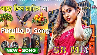 Gache Dhil Maris Na New Purulia Dj  Full Hard Bass Matal Dance Mix  Dj Remix Song 2024 by sr mix [upl. by Kcirdot316]