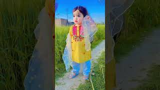 sohniyo Dil tady naawy la deye love cutebaby bollywood twins funnyvideos viral hindisongs [upl. by Lacefield725]