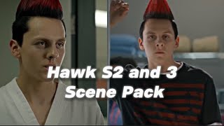 Hawk Scene pack cobra Kai s2 and s3 without cc [upl. by Hornstein546]