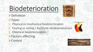 Biodeterioration  Microbes man and Environment  AZ Concepts guide [upl. by Azila830]