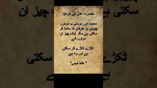 Hazrat Ali quotes viralvideos poetry quotes urdupoetry love sadpoetry explore viralvideo 1k [upl. by Annahaj]