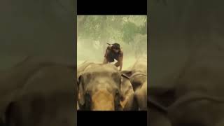 Tony Jaa is raining to Elephant and best action movie ong Bak 3 actionfighting viral shortvideos [upl. by Annotahs292]