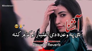 Ashna Che Pa Wada De Aitbar Okram Kana 🥰  Slowed And Reverb  Pashto New Song  Deedanoona [upl. by Ainotna]