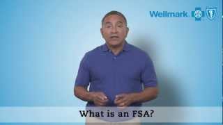 Understanding FSAs [upl. by Mechling]