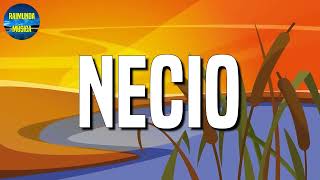 🎵 Reggaeton Romeo Santos – Necio Letras\Lyric Loop 1 Hour [upl. by Dunston]