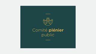 Comité plénier public du 12 décembre 2023 [upl. by Ashli]