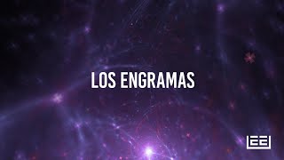 Los engramas [upl. by Drahnreb96]