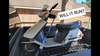 2003 Honda Elite 80 will it run after sitting 15 years CH80 restoration Part 1 [upl. by Darbee994]