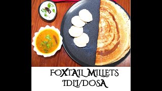 Foxtail Millets Dosa  Idli Recipe Healthy Breakfast recipe for weight lossMillet Recipies [upl. by Anitsirhk]