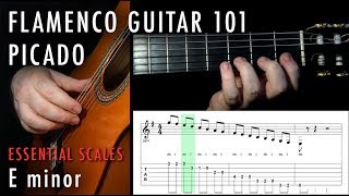 Flamenco Guitar 101  10  Picado E minor [upl. by Cima]