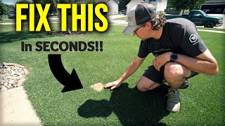 EASY FIX For Dead Spots In The Lawn [upl. by Lerred494]