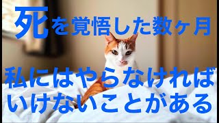 【vlog】どうやら私は死なないらしい [upl. by Aihsetal]