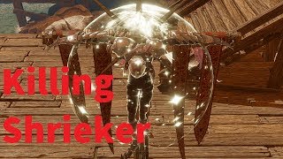 Killing a Shrieker  Divinity Original Sin 2 [upl. by Egwan380]