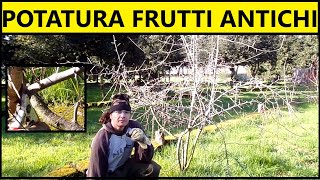 Come potare alberi da frutto quotantichiquot melograno pera e prugna selvatica  Tutorial potatura [upl. by Honorine431]