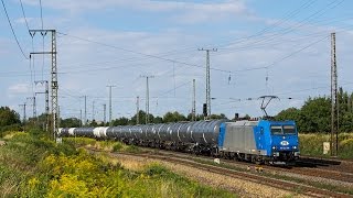 Güterverkehr in Großkorbetha  HVLE Maxima Rheincargo CTL SBB Cargo uvm [upl. by Errick]