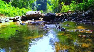 Calming River Water Sounds for Sleeping Water Sounds for Deep Sleep Calming Nature Sounds [upl. by Htenek]