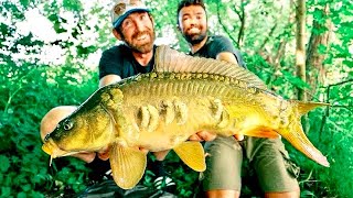 Wilde Flusskarpfen im Geheimversteck [upl. by Shuler]