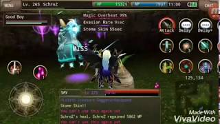 Iruna Online  Enchanter Build DPS Autoattack [upl. by Nah]