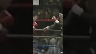 JC Chávez vs Mayweather 2 1989 soynica deportes boxeo boxeoprofesional [upl. by Anita]