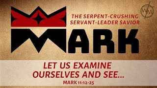 Mark 111225  Let Us Examine Ourselves and See [upl. by Ayin]