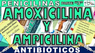 AMOXICILINA PARA QUE SIRVE ESTE MEDICAMENTO AMOXICILINA Y AMPICILINA  GuiaMed [upl. by Savage345]