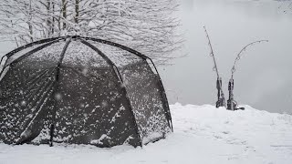 Karpfenangeln im Winter I Tipps für die kalten Tage [upl. by Stevy]