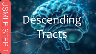 USMLE Step 1  Descending Tracts [upl. by Stephani]