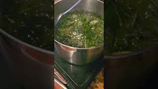 Collards collard greens cooking on the stove at the homestead [upl. by Heuser]