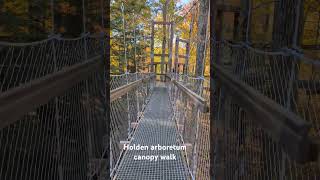 Fall Canopy Walk at Holden arboretum 500ft elevated walkway rises 65 feet above the forest floor [upl. by Edmonds543]