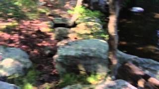 Sebago Cabins on Lake Sebago [upl. by Ocsecnarf227]