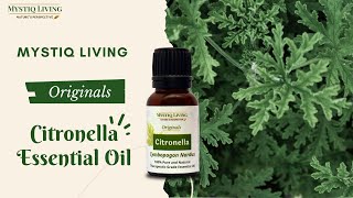 What is Citronella Essential Oil Used For [upl. by Huber]