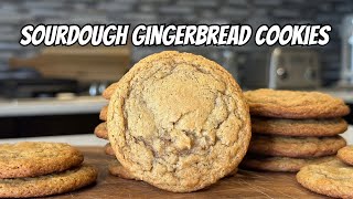 Sourdough Gingerbread Cookies [upl. by Suoirad765]