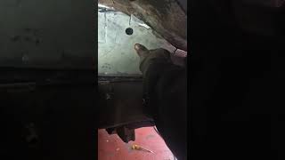 Striking Welds MOT corner Transit ep10 [upl. by Sicnarf551]