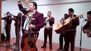 Mariachi Jalisco de Puerto Rico  QueridaMP4 [upl. by Anoyek]