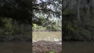 Warrandyte State Park  VIC Australia park lake river camping hike asmr relax outback [upl. by Cleaves]