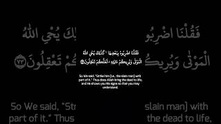 SURAH BAQARAH 73 AYAT WITH TRANSLATION quran shorts [upl. by Nonnaer725]