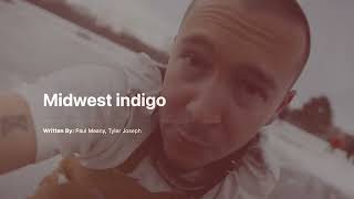 Midwest Indigo Karaoke﹣twenty one pilots [upl. by Nahtnhoj]