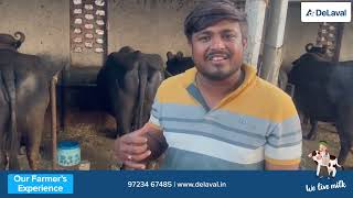 DeLaval Buffalo Milking Machine Experience in Gujarat [upl. by Moina]