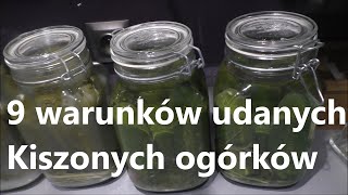 9 warunków idealnych ogórków Kiszonych [upl. by Atirec]