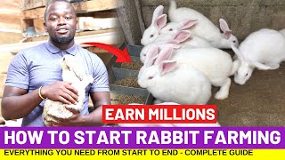 How To Start RABBIT FARMING And Earn Millions In 4 Months  Complete Guide [upl. by Ahsie911]