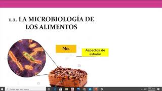 MICROBIOLOGIA DE ALIMENTOS ROL DE LOS MO COMO INDICADORES MICROBIOLOGICOS 2 [upl. by Ahsietal]