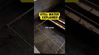 The TikTok quotStill Waterquot Meme Explained [upl. by Seen]