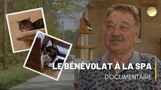 Le bénévolat à la SPA  Documentaire [upl. by Yedorb764]